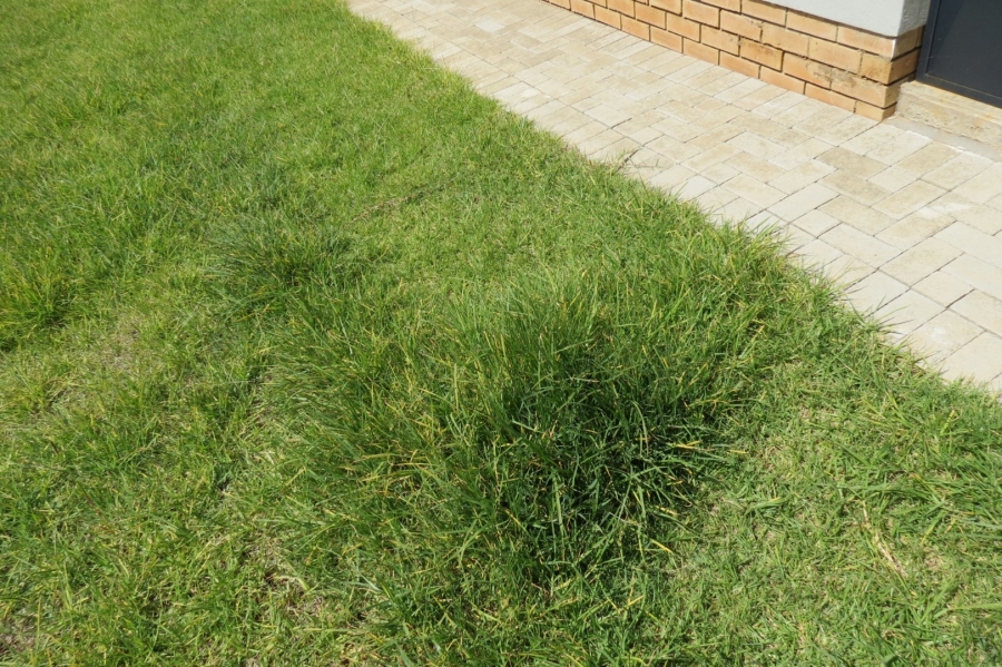 3 Bedroom Property for Sale in Pellissier Free State